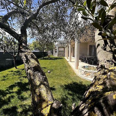 Saint-Laurent D'Aigouze : Appartement Avec Jardin Eksteriør billede